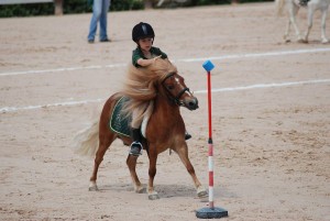 pony-games-rondinella-3