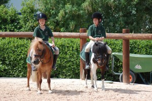 pony-imola-2