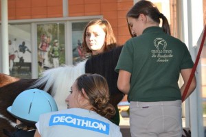 decathlon
